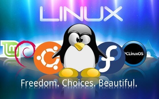 Linux: история создания
